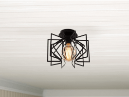 Plafondlamp EMRUTTY 1 lamp zwart