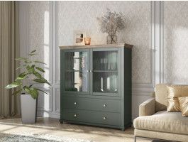 Vitrinekast EVOCO 2 deuren en 2 lades ribbec eik/groen