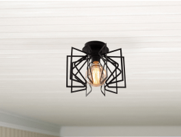 Plafondlamp EMRUTTY 1 lamp zwart